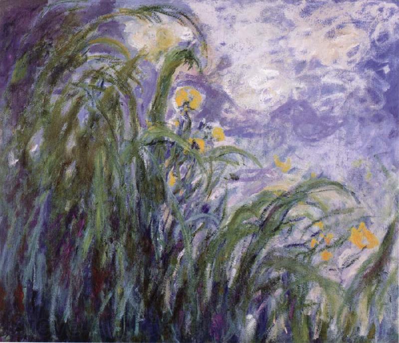 Claude Monet Yellow Irises Spain oil painting art